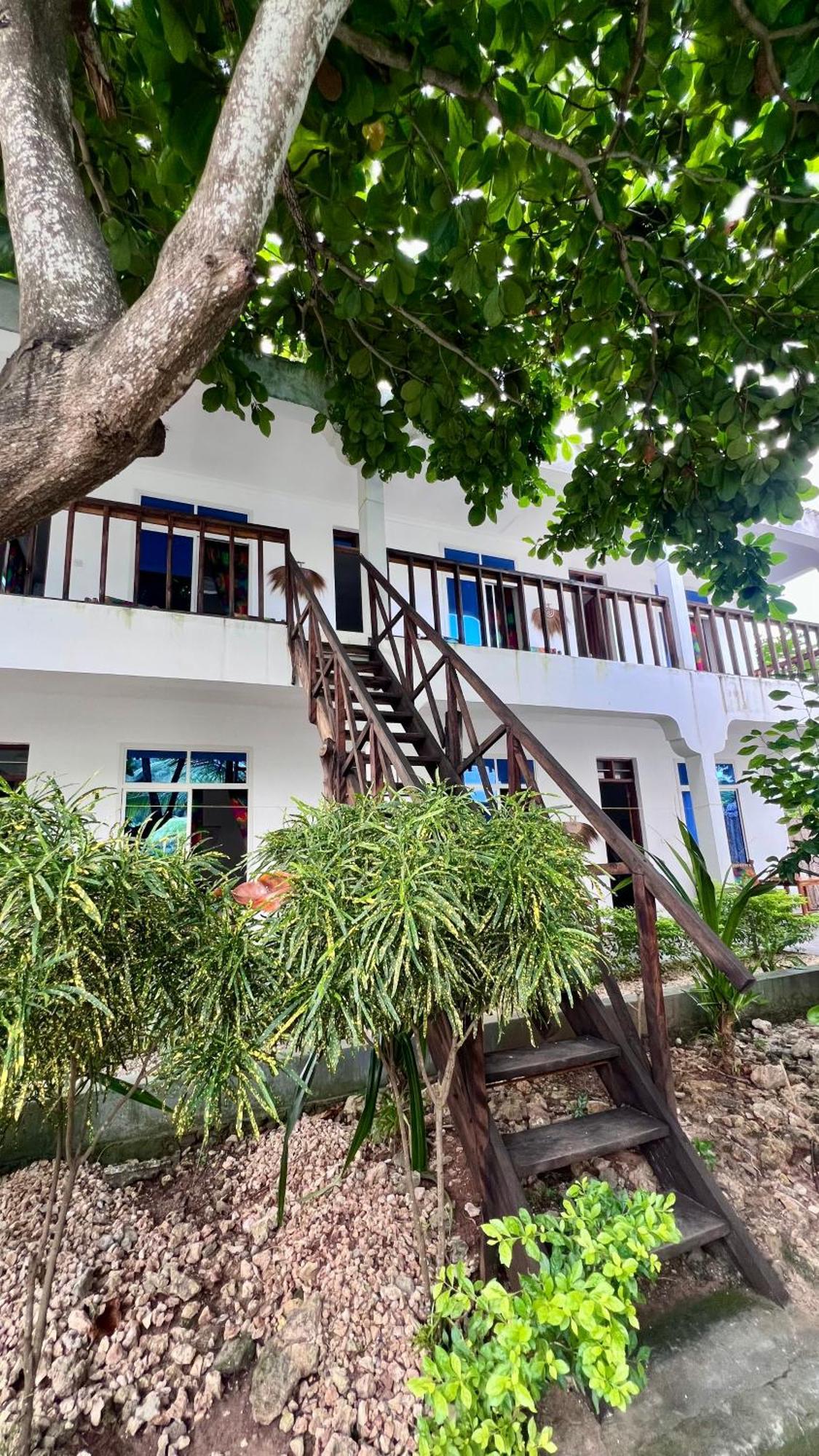 Kilimanjaro Bed and Breakfast Nungwi Eksteriør billede