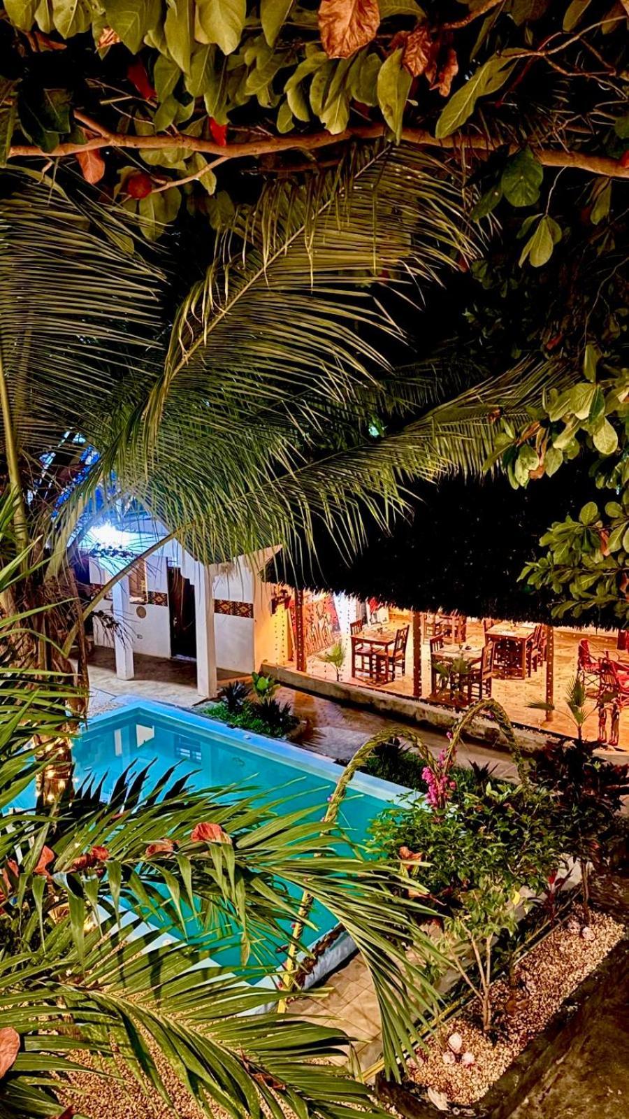 Kilimanjaro Bed and Breakfast Nungwi Eksteriør billede