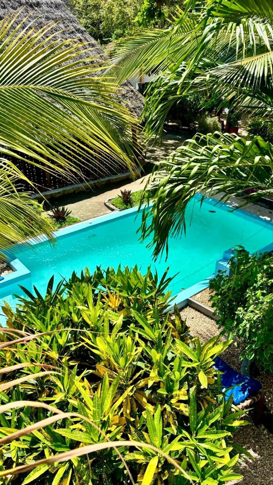 Kilimanjaro Bed and Breakfast Nungwi Eksteriør billede